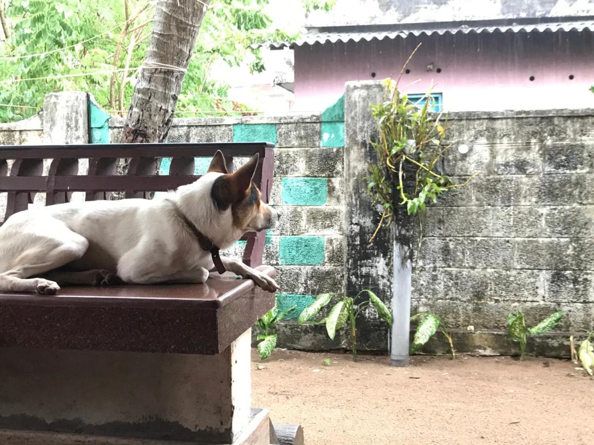 Beachaholic Homestay Alappuzha Dış mekan fotoğraf