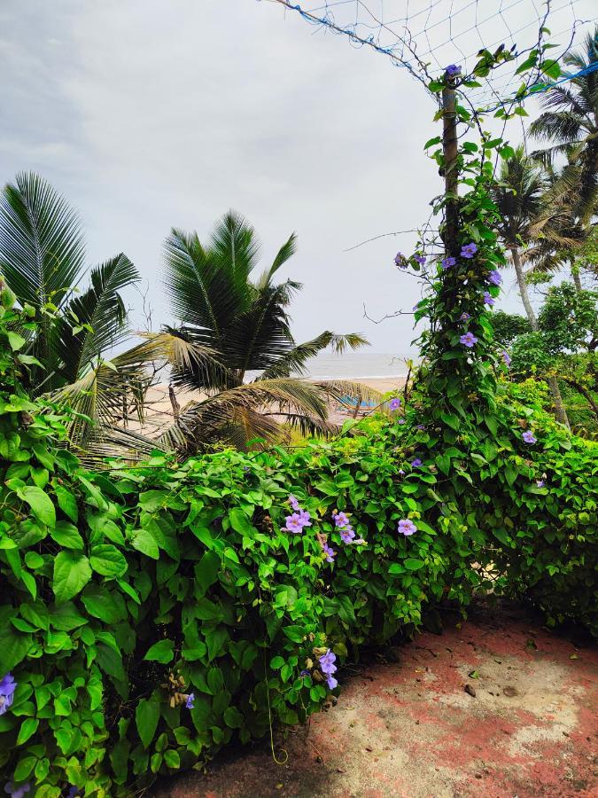 Beachaholic Homestay Alappuzha Dış mekan fotoğraf