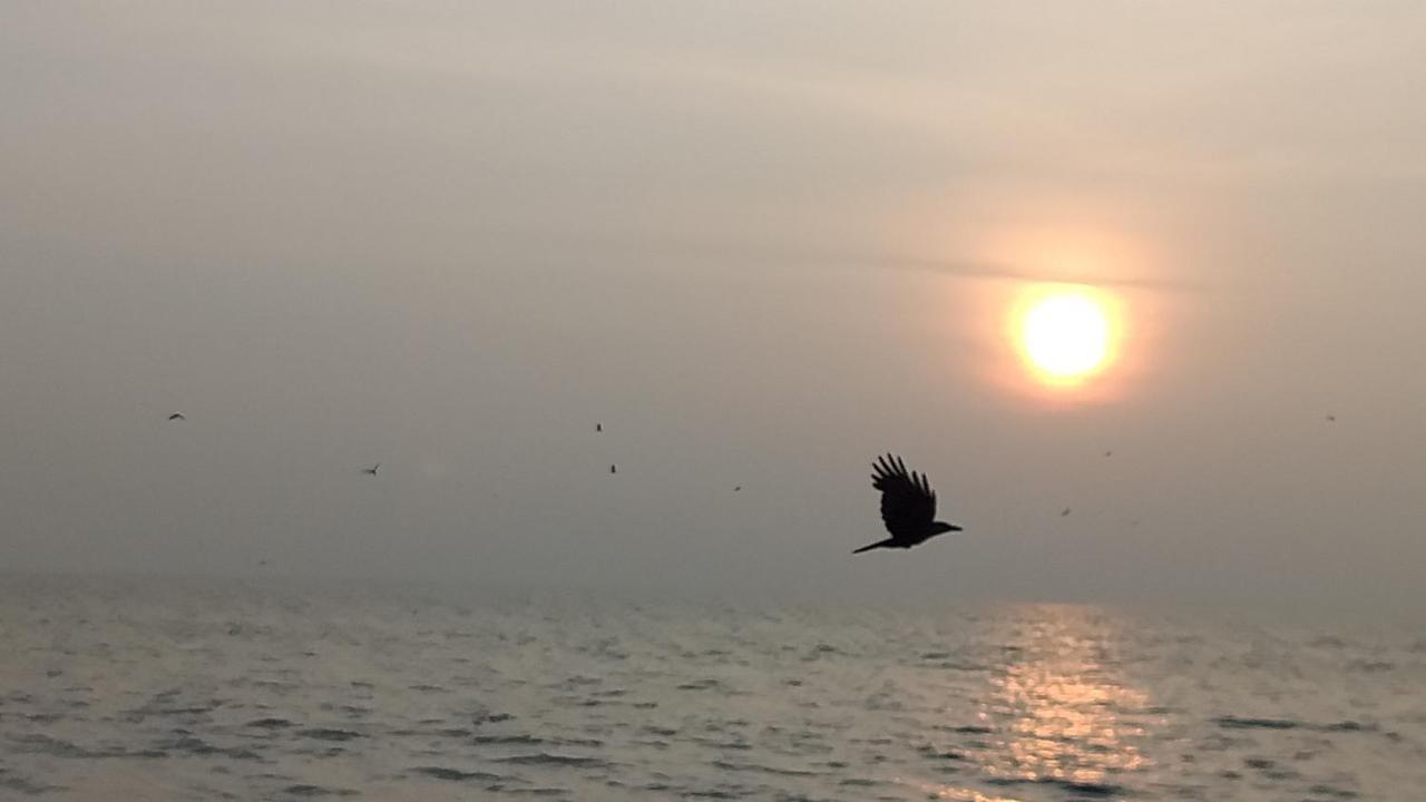 Beachaholic Homestay Alappuzha Dış mekan fotoğraf