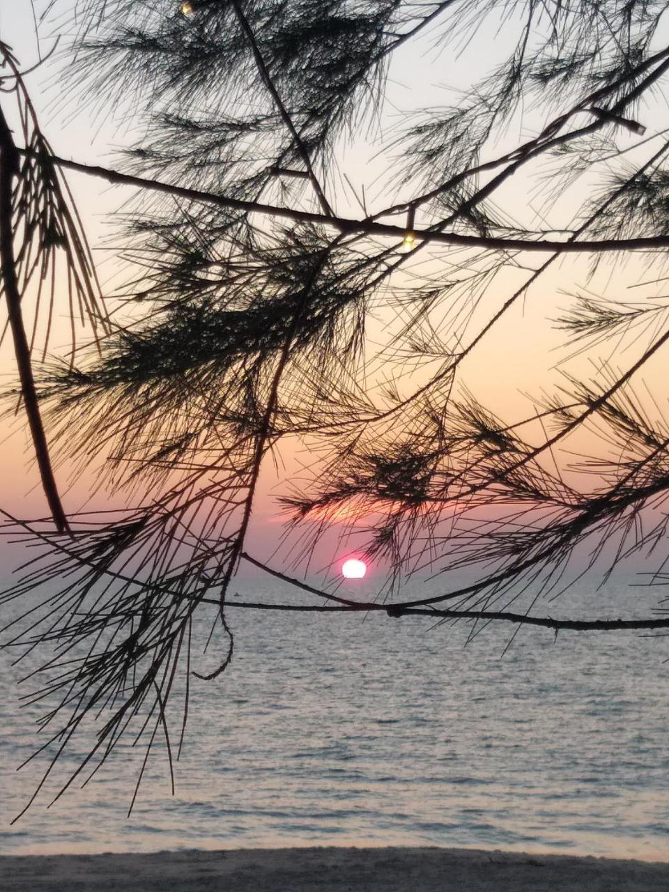 Beachaholic Homestay Alappuzha Dış mekan fotoğraf